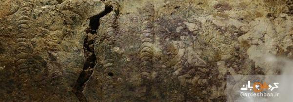 کشف جام 3 هزار ساله در استان اردبیل ، جزئیات اشیاء کشف شده از یک گور تاریخی